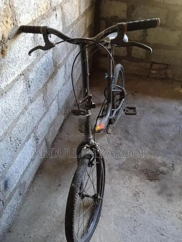 Aima Liberty Bike