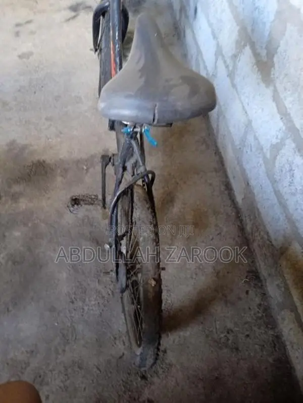 Aima Liberty Bike