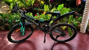 Lumala Dst 26 Bicycle