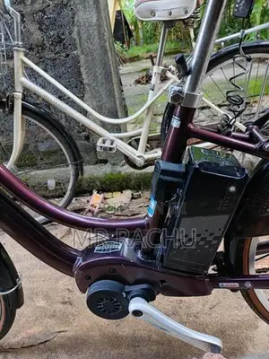 Japanes E Bicycle 26"