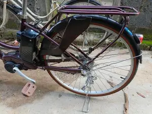 Japanes E Bicycle 26"