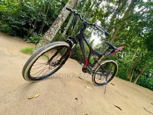 Mountain Bicycle