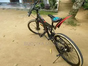 Mountain Bicycle