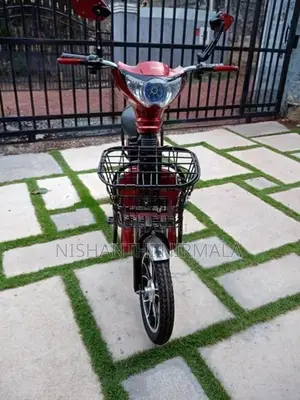 Winner E-Bike 2023