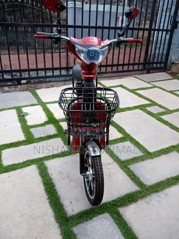 Winner E-Bike 2023