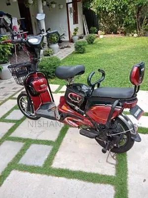 Winner E-Bike 2023