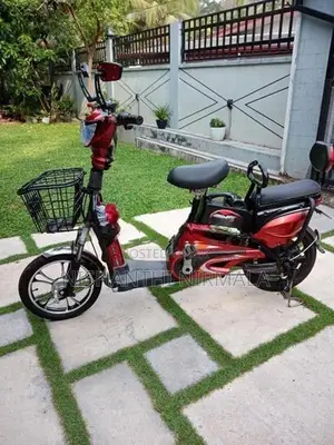Winner E-Bike 2023