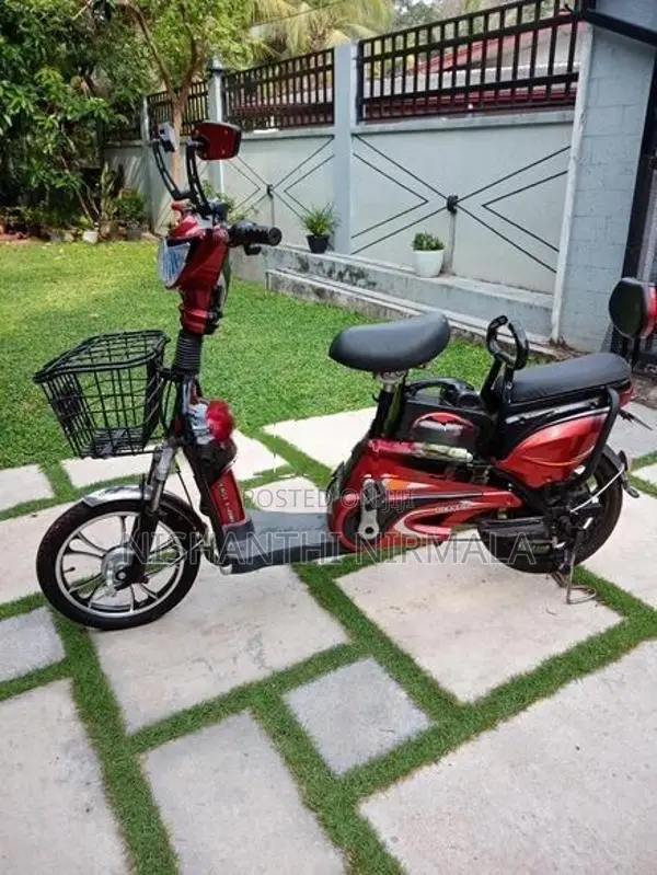 Winner E-Bike 2023