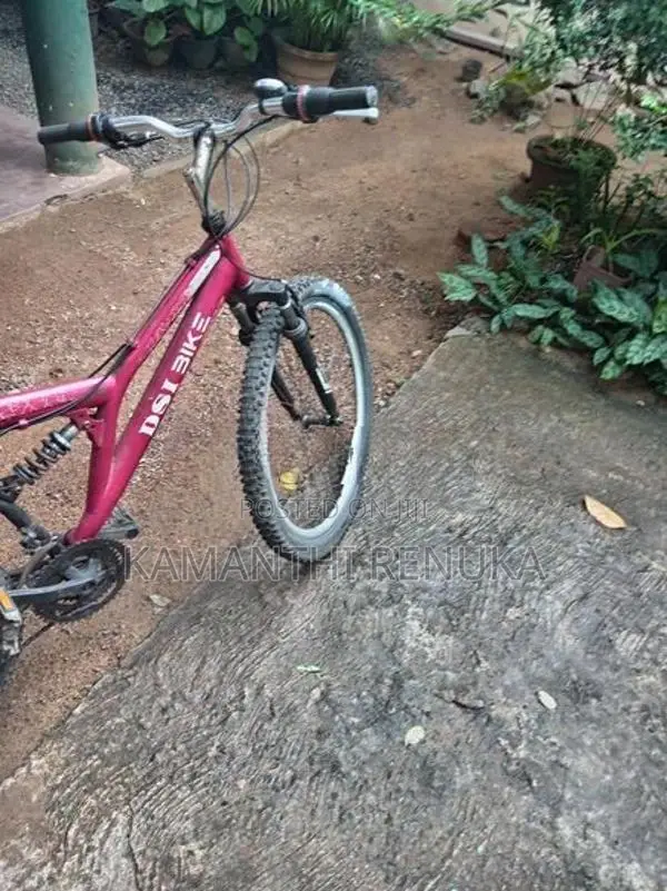 DSI Mountain Bicycle