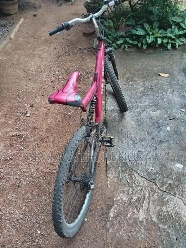 DSI Mountain Bicycle