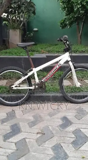 Bronco BMX