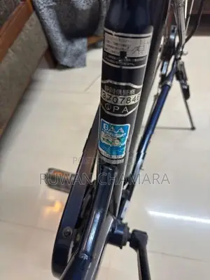 Japanese Bicycle