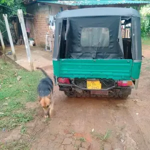 Piaggio Ape 2012