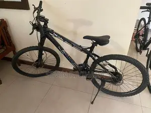 Nemo Bicycle