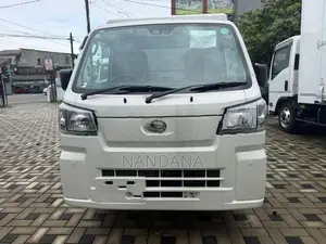 Daihatsu Hijet Buddy Freezer 2024