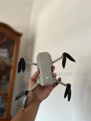 Dji Mavic Mini