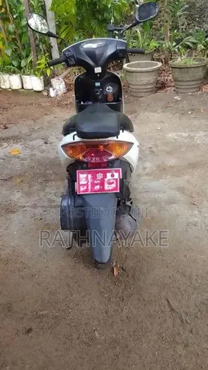 Suzuki 2023