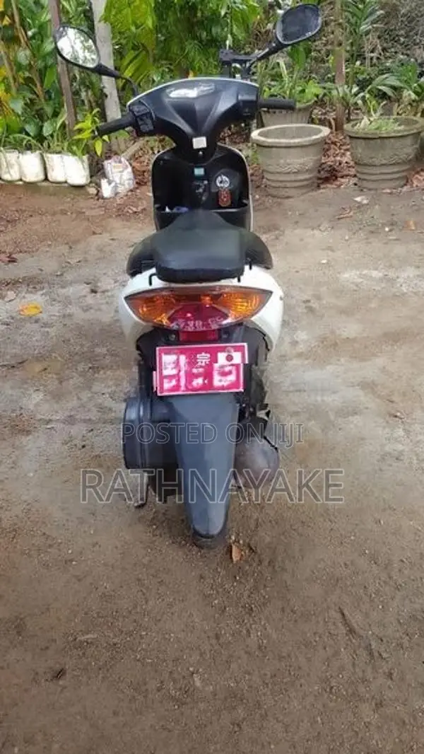 Suzuki 2023