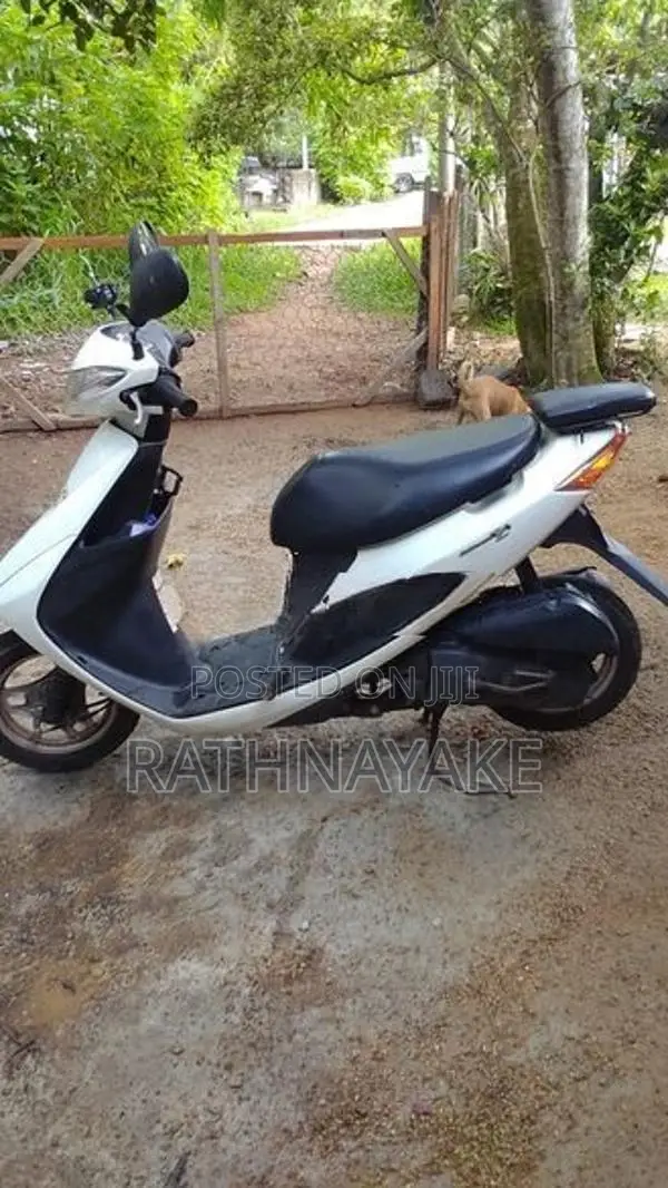 Suzuki 2023