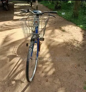 ladies බයිසිකයි