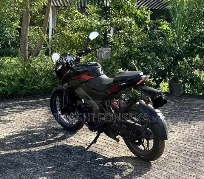 Bajaj Pulsar NS200 2025