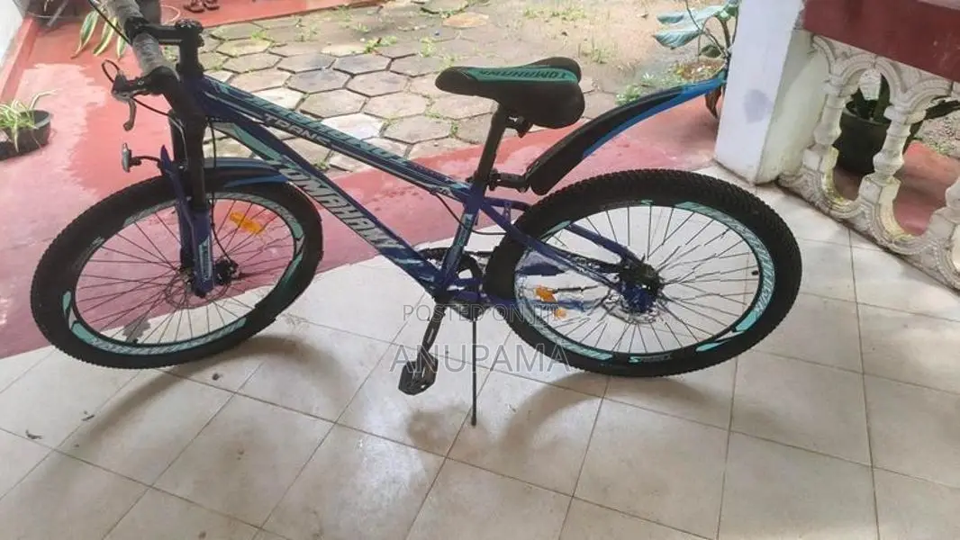 Tomahawk Mountain Bicycle