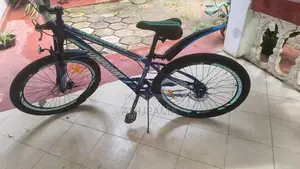 Tomahawk Mountain Bicycle