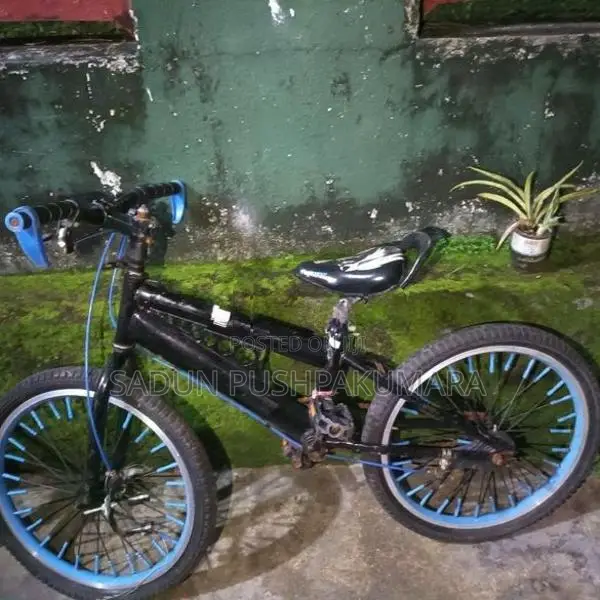 Bicycles - Used