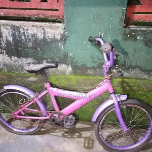 Bicycles - Used