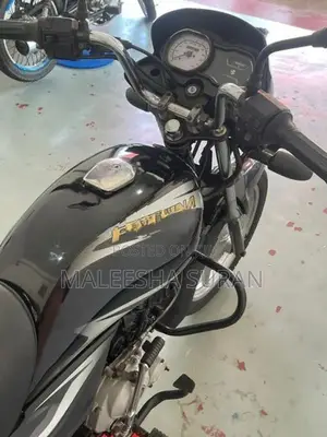 Bajaj Platina 100 es 2019