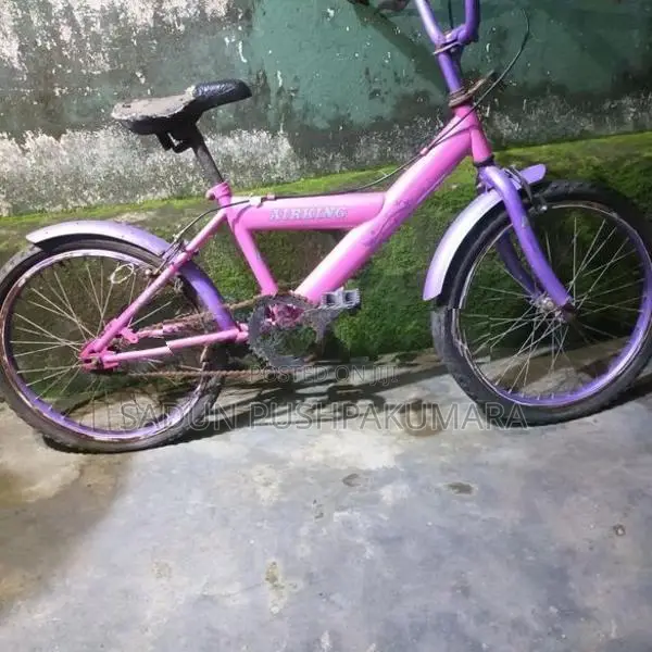 Bicycles - Used