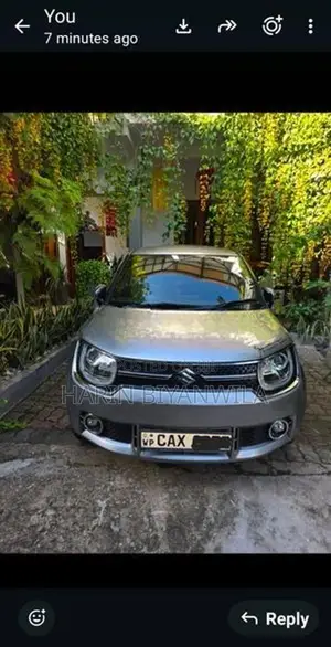 Suzuki Ignis 2019