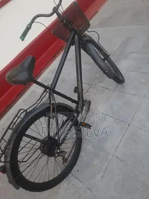 Hybrid bike