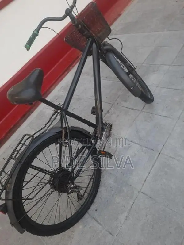 Hybrid bike