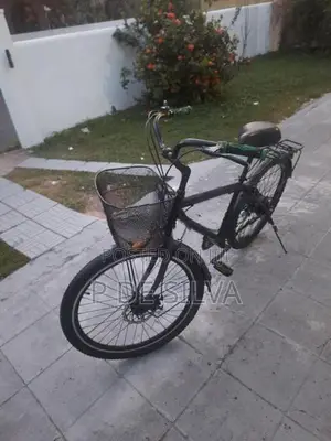 Hybrid bike