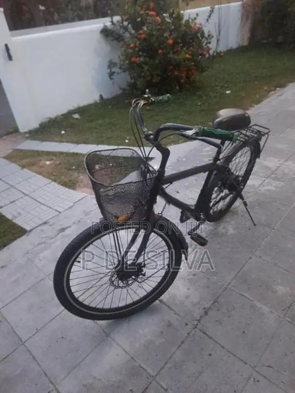 Hybrid bike