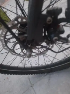 Hybrid bike
