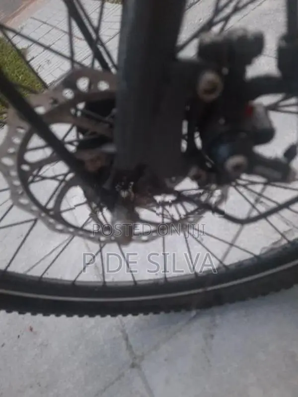 Hybrid bike