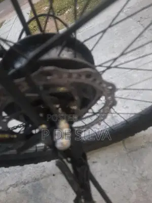 Hybrid bike