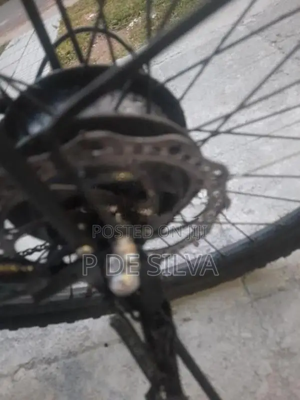 Hybrid bike