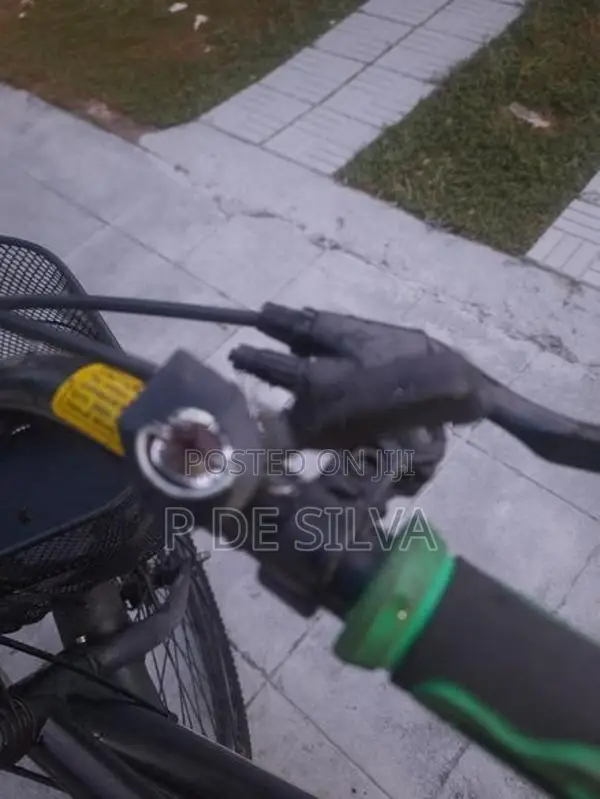 Hybrid bike