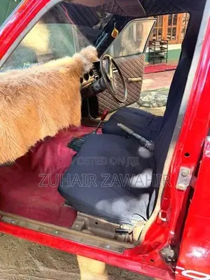 Nissan Sunny b310 1978