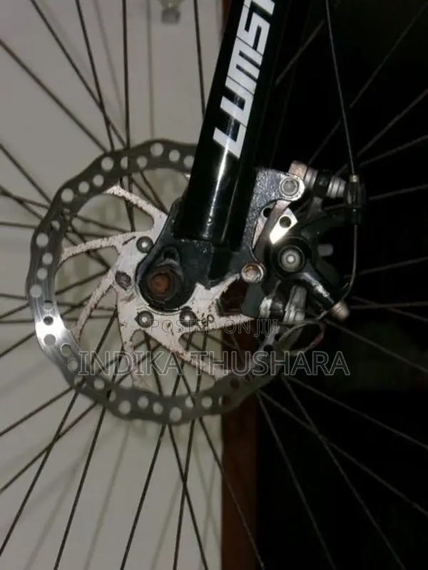 Lumstar Bicycle