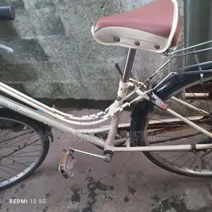Deangelis Bicycle