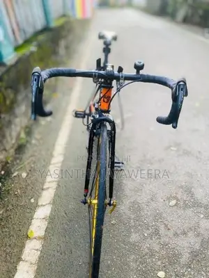Doppel Ganger Racing Bike