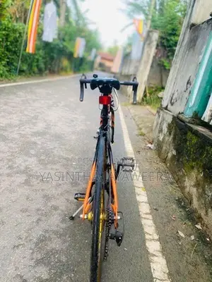Doppel Ganger Racing Bike