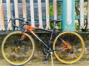 Doppel Ganger Racing Bike