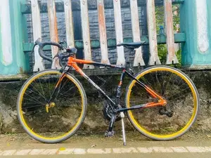 Doppel Ganger Racing Bike