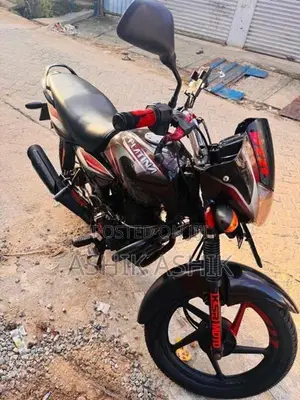 Bajaj Platina 2009