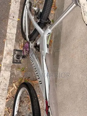 Specialized Fatboy BMX Bicycle